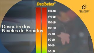 Conoce La Intensidad del Sonido Con Esta Prueba de Decibeles  Cochlear Latinoamérica [upl. by Dis]