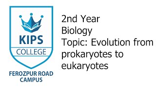 Evolution from prokaryotes  2nd Year Biology [upl. by Bernhard122]