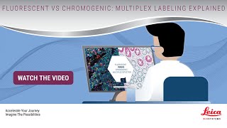 Fluorescent vs Chromogenic Multiplex Labeling Explained [upl. by Orsola144]