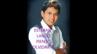 Música Popular Colombia 2024 Esteban Largo Pienso Olvidarte [upl. by Kessiah959]