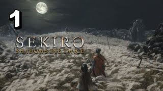 SEKIRO SHADOW DIE TWICE IMMORTAL SEVERANCE ENDING PART 1  LAST ENDING GUYSS [upl. by Werdna]