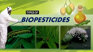 Biopesticides and its Common Types A Sustainable Solutions for Modern Agriculture [upl. by Eylhsa]