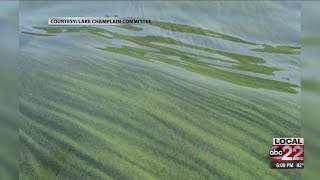 Cyanobacteria blooms on the rise [upl. by Elboa]