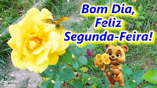 Mensagem de Bom Dia Feliz Segunda Feira Boa Semana [upl. by Vivyanne707]