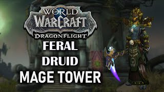 Feral Druid  Mage Tower  Dragonflight Season 3 1025  230 Combat Time [upl. by Burley]