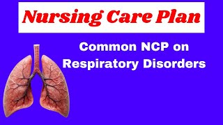 nursing care plan for respiratory disorder  ncp on lungs diseases  nursing care plan [upl. by Suoirad]