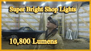 The Best LED Shop Ligths On The Market SUNCO Shop Lights [upl. by Durgy879]