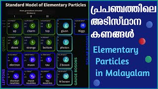 പ്രപഞ്ചത്തിലെ അടിസ്ഥാനകണങ്ങൾ  Elementary Particles Explained in Malayalam  Standard Model [upl. by Fredric]