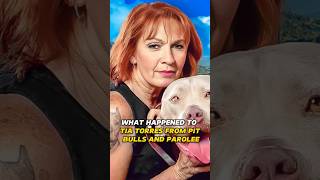 What happened to tia torres from pit bulls and parolee celebrity hollywoodstars [upl. by Esiuole]