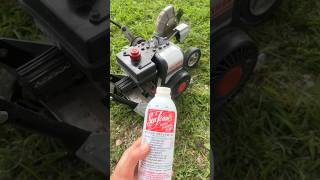 Lawn Edger Won’t Work  Let’s Fix It diy [upl. by Gelasias]