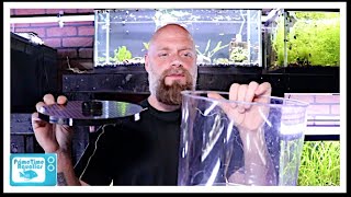 Fish Tank Filter Showdown Under Gravel Filter vs Sponge Filter [upl. by Timi]