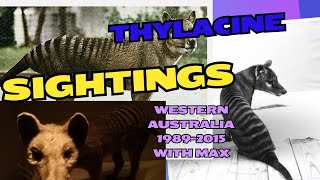 Thylacine sightings Western Australian Desert country 19892015 with Max [upl. by Cramer]