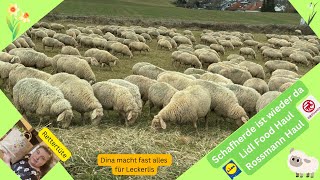 Schäfchen 🐑 Lidl amp Rossmann Haul 🛒 Rettertüte 🛍  Dina 🐾will Leckerchen  Februar 2024  Melanie 🌷 [upl. by Mayne]