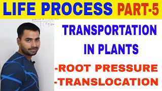 LIFE PROCESS TRANSPORTATION IN PLANTS PART 5 [upl. by Nada]