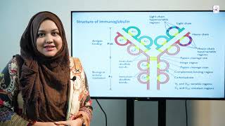 Concept Clearing Session Topic Structure of Immunoglobulin  Synapse Medical Academy [upl. by Oswald523]