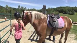 Équitation thérapeutique  les chevaux du Galopin toujours à lœuvre  Estrieplus [upl. by Salli]