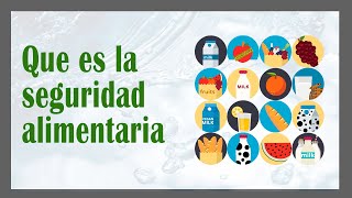 Que es la SEGURIDAD ALIMENTARIA y NUTRICIONAL 🍞🥛🍒 y Cuales son los factores que la componen [upl. by Valenta]