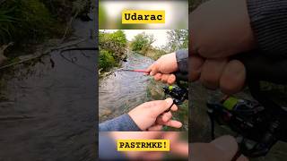 PASTRMKA NAPALA Meppsa Ispod VRBE  UL Varaličarenje Pastrmke pecanje fishing spinning ribolov [upl. by Ydasahc]