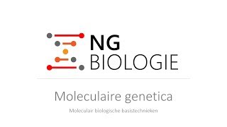 Moleculaire genetica  moleculair biologische basistechnieken  VWO [upl. by Torrin]