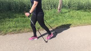 Grundtechnik des Nordic Walking [upl. by Imak]