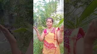 हमन आदिवासी आन  हमर बस्तर हे शान Lalitacgvlog aadivasisong ytshorts cgsong cgvlogg cg [upl. by Mckenzie]