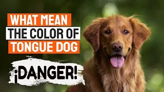 🐶👅¿WHAT Does the COLOR of My Dogs TONGUE Mean [upl. by Ursi]