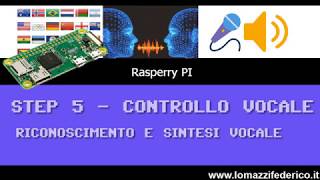 Un traduttore simultaneo multilingua con Raspberry PI [upl. by Polad622]