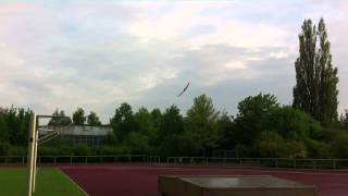 RC Delta Wing Fun Flight [upl. by Nnylyma]