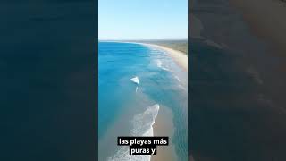 🌴3 PLAYAS más BONITAS y Paradisiacas del Mundo Increíbles [upl. by Nivrek990]