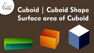 Cuboid  Cuboid Shape  Surface Area [upl. by Suivatco]