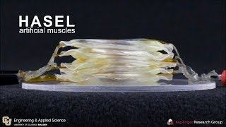 HASEL actuators with musclelike performance [upl. by O'Doneven]