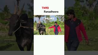 TN90 ranadheera 1millionviews bullrace cowboys jallikattu hallikarbullfarming hallikarodeya [upl. by Boycey]