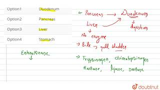 The enzyme trypsinogen is secreted from [upl. by Ezana692]