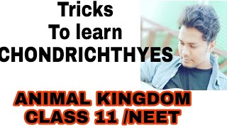 Tricks to learn the examples of CHONDRICHTHYES NCERT CLASS 11 ANIMAL KINGDOM IMP FOR NEET [upl. by Town]