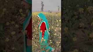 naino mein Sapna sapno mein sajna pe Dil Aa Gaya [upl. by Celinda]