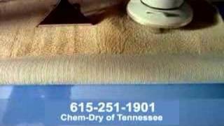 Nashville Carpet Cleaners  ChemDry of Nashville [upl. by Shyamal]