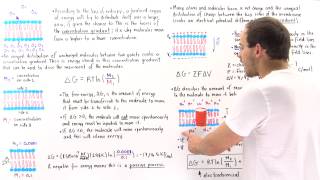 Measuring the Electrochemical Gradient Part II [upl. by Nolyak129]