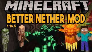 BETTER NETHER MOD explained Minecraft 1165 minecraft Mods  NAGA Hydrogen Jellyfish and more [upl. by Cruce319]