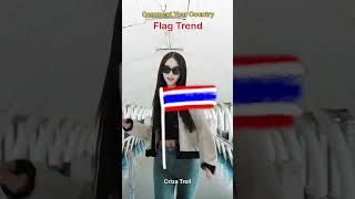 Flag Trend trollface edit troll [upl. by Seugirdor]