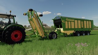 FS22  Lizard Trailed Windrower [upl. by Yrmac]