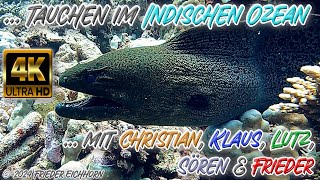 Tauchen im Indischen Ozean 🐠 🐡 🦞 [upl. by Nnayt]