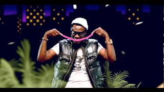 SoundSultan  Natural Something Official Video [upl. by Ainaznat755]