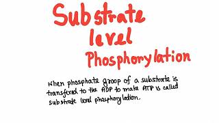 Glycolysis substrate level phosphorylation [upl. by Ojeillib]