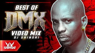 Best of DMX Video Mix  Dj Shinski Party up We right here Ruff Ryders Anthem Where The Hood At [upl. by Atinuahs]