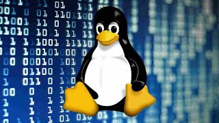 5 Linux basics sudo add amp del users for pentesters in Arabic  شرح لينيكس بالعربي [upl. by Aillij565]