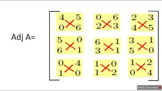 Adjoint of a 3X3 matrix [upl. by Edas306]