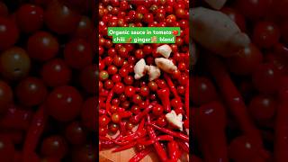 Organic sauce in tomato🍅 chili🌶️ ginger🫚 blend souceorganic youtubeshort [upl. by Merton108]