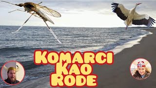 Komarci kao rode [upl. by Edmund64]