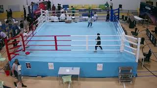 EGA  Qatar Juniors and Schools Boxing Championship Semi Finals [upl. by Yoshi]