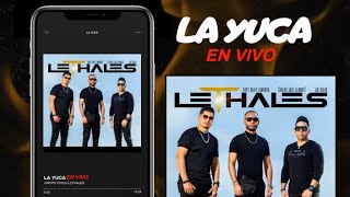 Lethales  La Yuca En Vivo [upl. by Nauhs44]